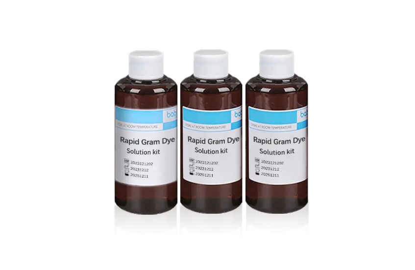 Le kit de coloration de Gram BABIO prend en charge une identification microbiologique fiable