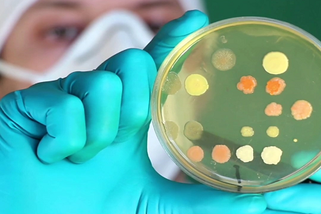 Brosse cervicale de cytologie stérile jetable pour un prélèvement fiable d’échantillons