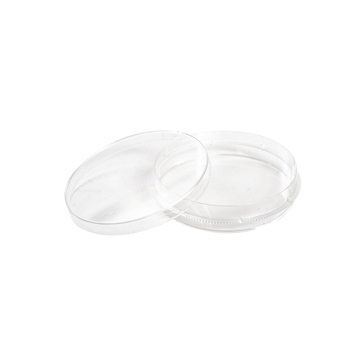 Boîte de Petri en plastique jetable