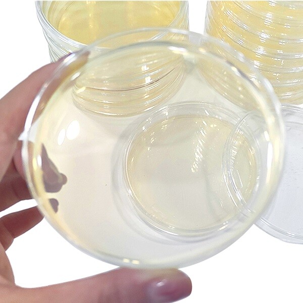 Avances en la investigación microbiológica: La resistencia a los antibióticos y el papel de las placas de Petri de plástico desechables