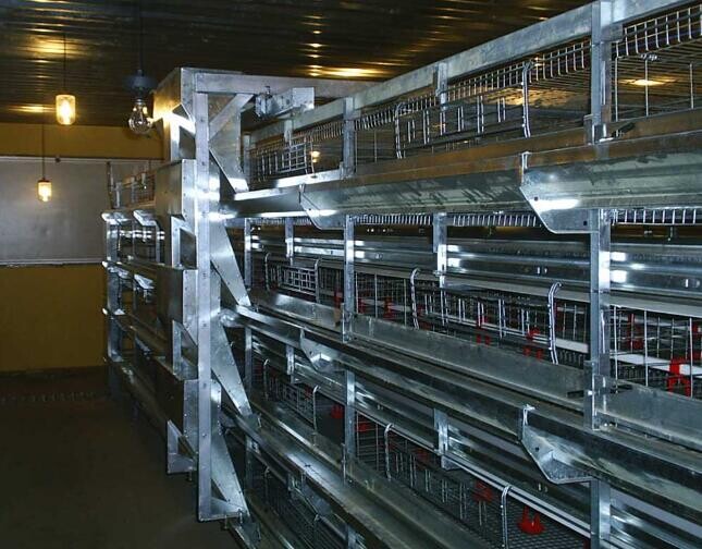 What is a 4-tier 128-birds layer chicken cage made of durable materials and built to last