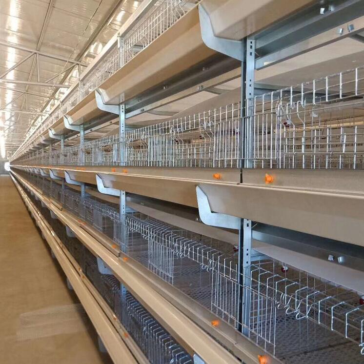 Do you know that an automatic H-type broiler chicken cage integrates automation across several critical aspects of poultry management