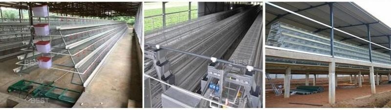 poultry farm.jpg