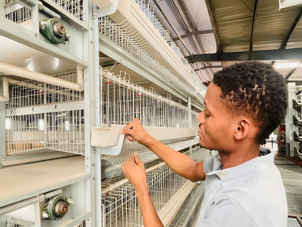Ethiopia Branch Manufacture Poultry Farm Equipment
