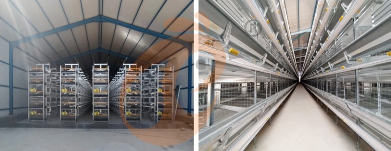 A poultry farm chicken cage (2).png