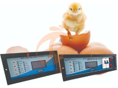 AI management poultry farm (10).png