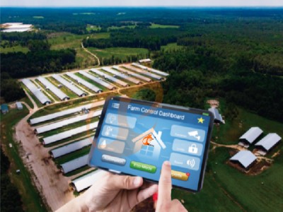 AI management poultry farm (1).png