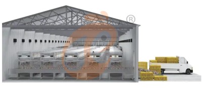 chicken cage poultry farm design (2).png