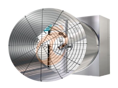 fan 2.png