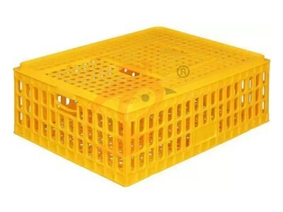 American poultry farm, 1 million layers, layer chicken cage, poultry farm equipment