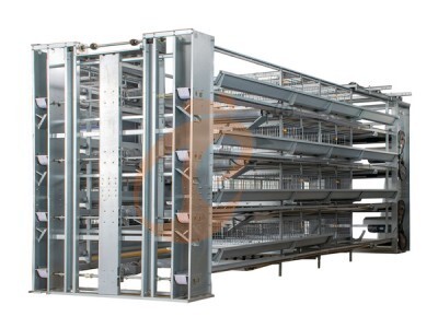 parents chicken cage poultry farm (1).jpg