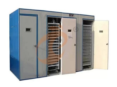 American poultry farm, 1 million layers, layer chicken cage, poultry farm equipment