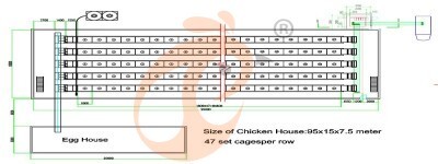100000 layers poultry house.jpg