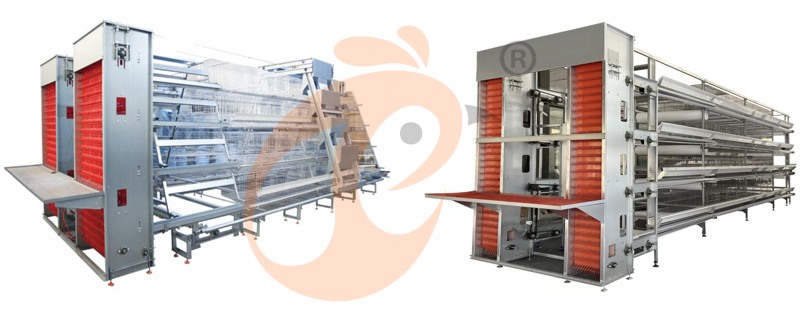 poultry battery cage (4).png