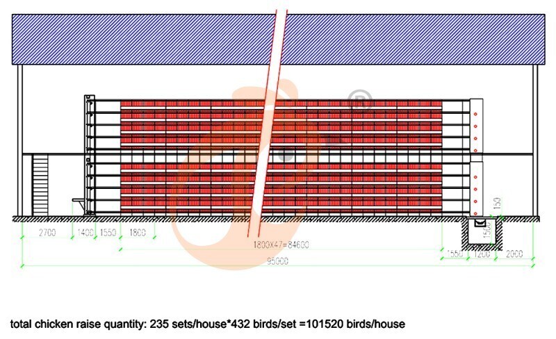 American poultry farm, 1 million layers, layer chicken cage, poultry farm equipment