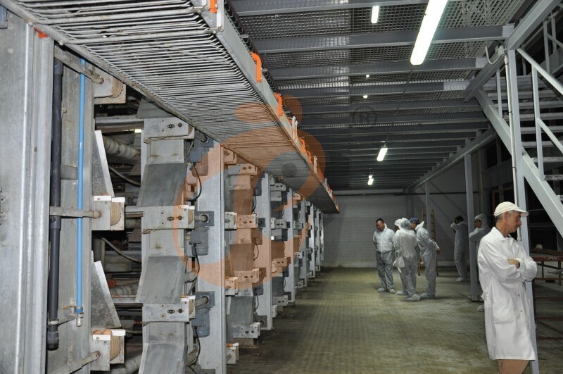 American poultry farm, 1 million layers, layer chicken cage, poultry farm equipment