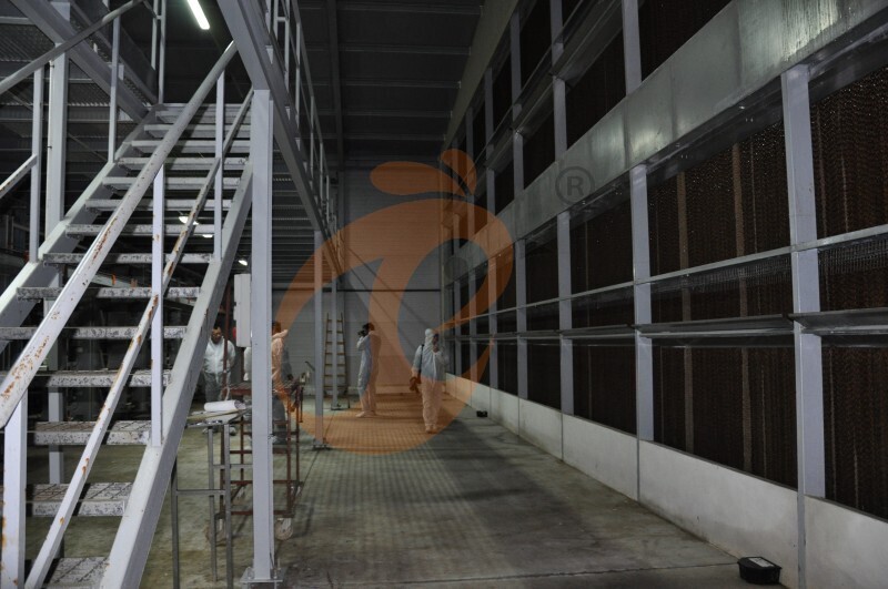 American poultry farm, 1 million layers, layer chicken cage, poultry farm equipment