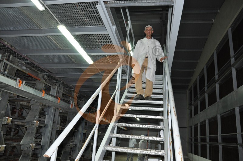 American poultry farm, 1 million layers, layer chicken cage, poultry farm equipment