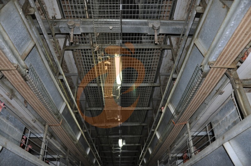 American poultry farm, 1 million layers, layer chicken cage, poultry farm equipment