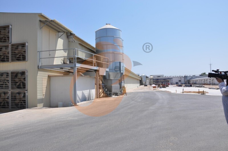 American poultry farm, 1 million layers, layer chicken cage, poultry farm equipment
