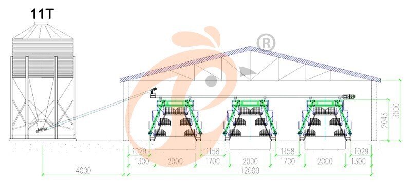 Brooder house, 25,272  brooders/house, A3 automatic brooder chicken cage's drawing
