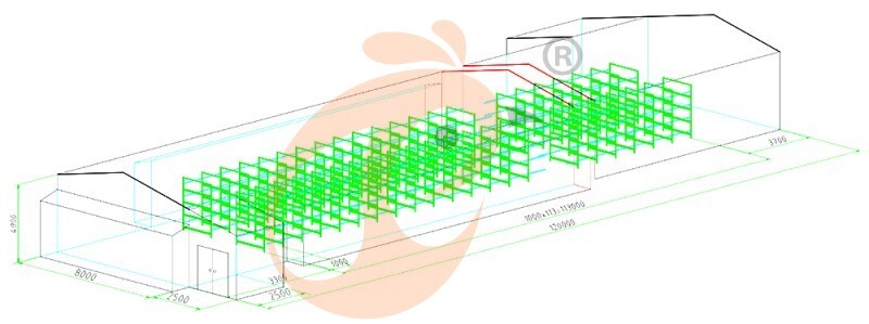32000 pullet, brooder cage layout (9).jpg