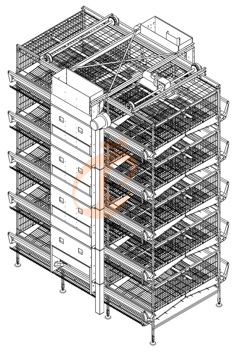 26000 layers, layer cage layout (1).jpg