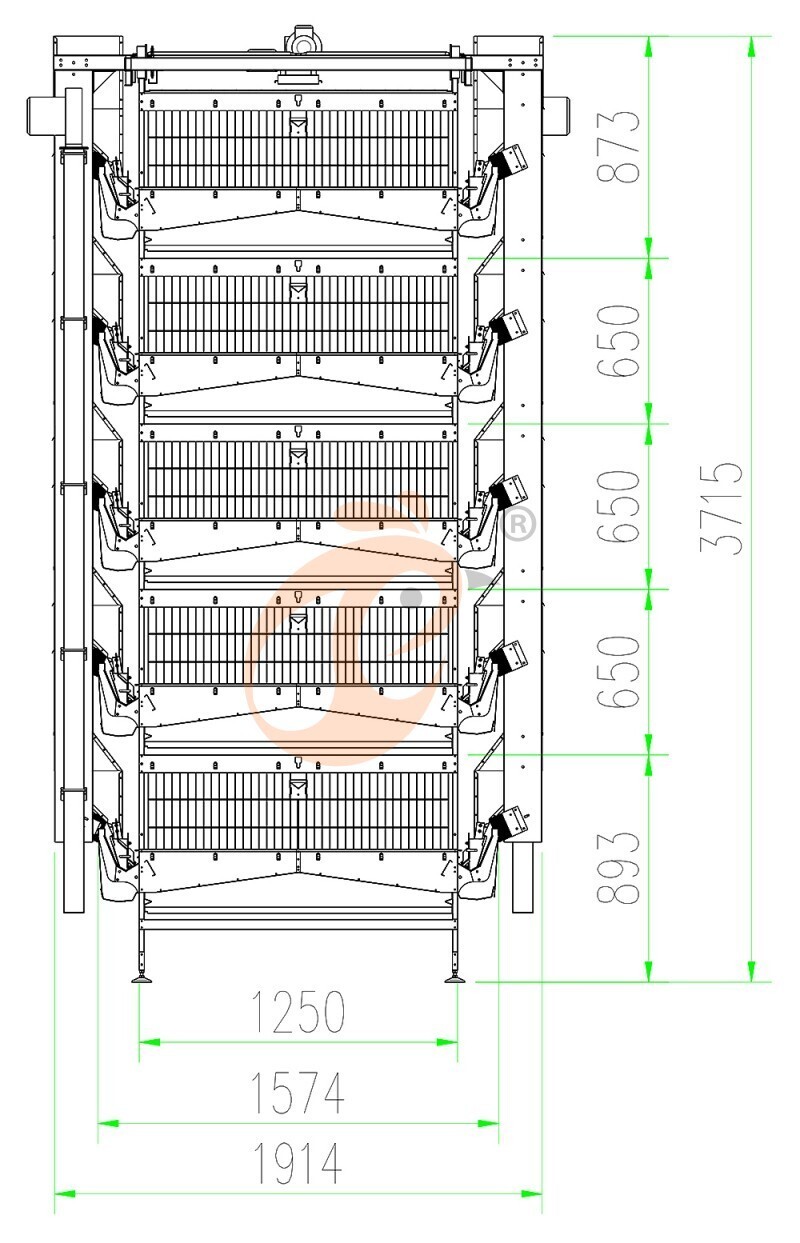 26000 layers, layer cage layout (2).jpg