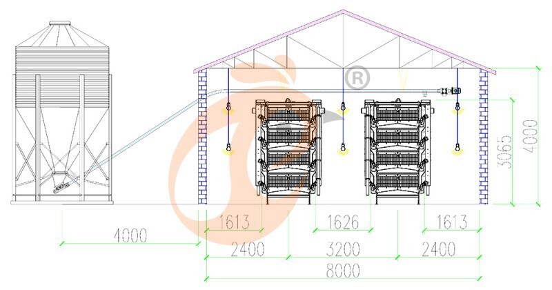 26000 layers, layer cage layout (3).jpg