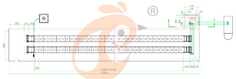 26000 layers, layer cage layout (5).jpg