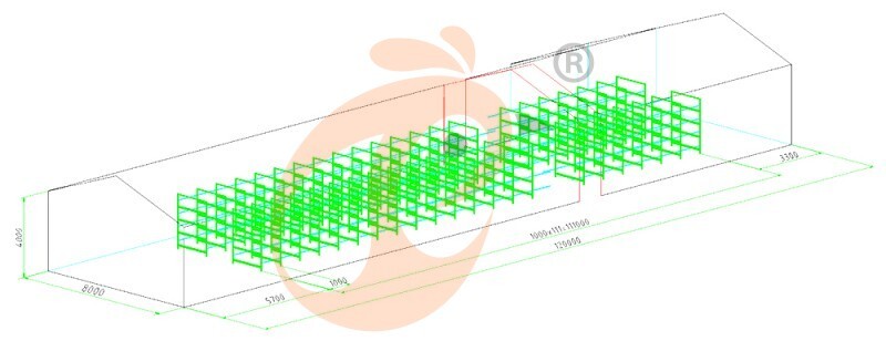 26000 layers, layer cage layout (7).jpg