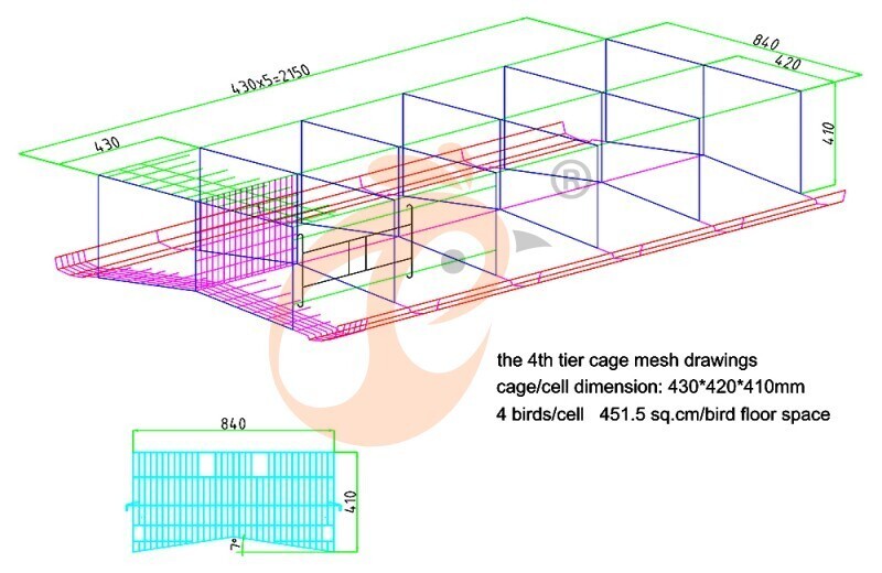 30000 layers, layer chicken cage layout (1).jpg