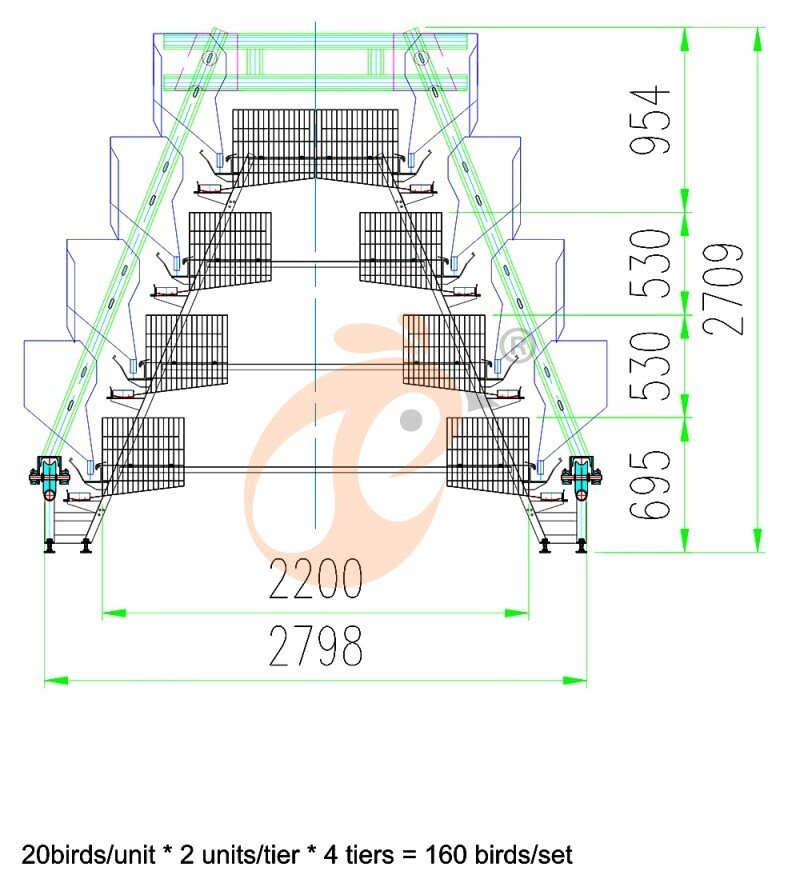 30000 layers, layer chicken cage layout (3).jpg