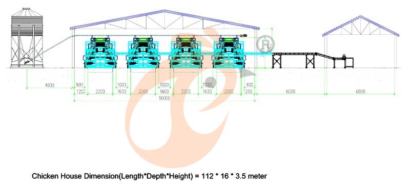 30000 layers, layer chicken cage layout (4).jpg