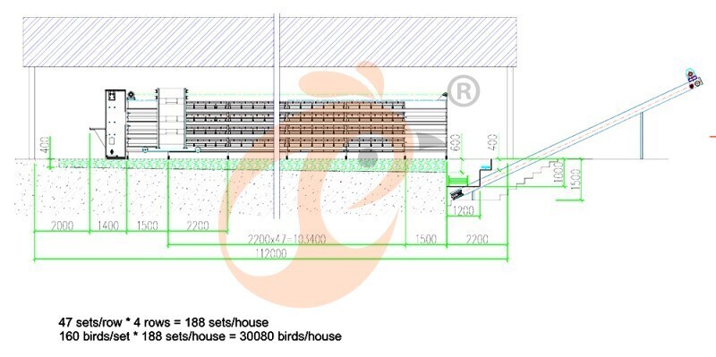 30000 layers, layer chicken cage layout (5).jpg