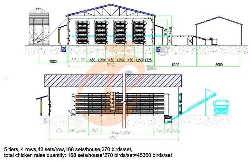 45360 layers, layer chicken cage layout (2).jpg
