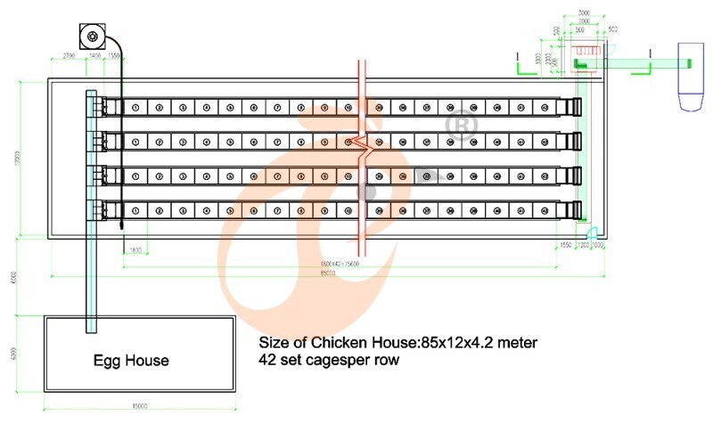 45360 layers, layer chicken cage layout (3).jpg