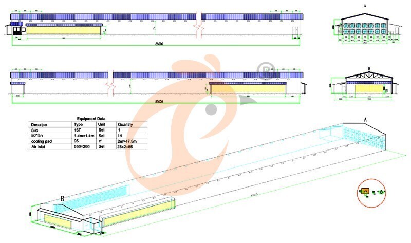 45360 layers, layer chicken cage layout (5).jpg