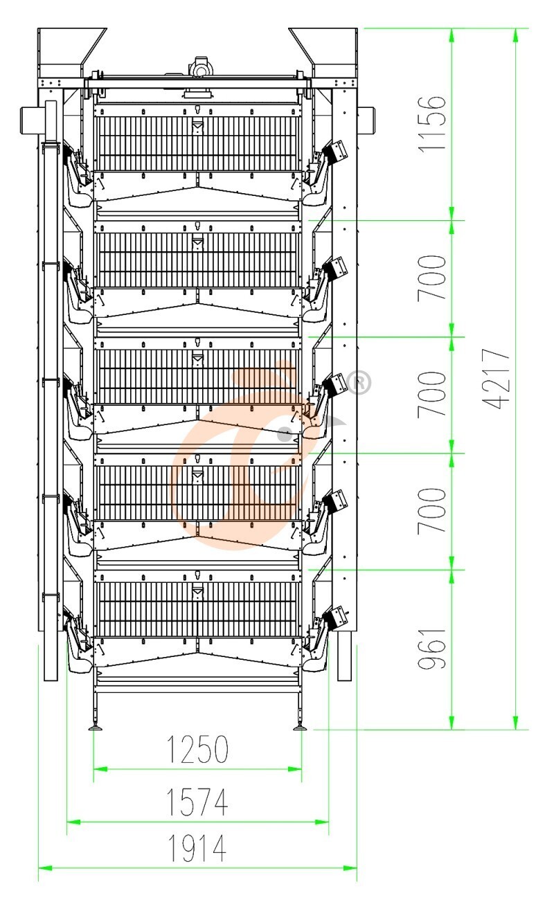 50000 layers chicken house, cage layout 800 (1).jpg