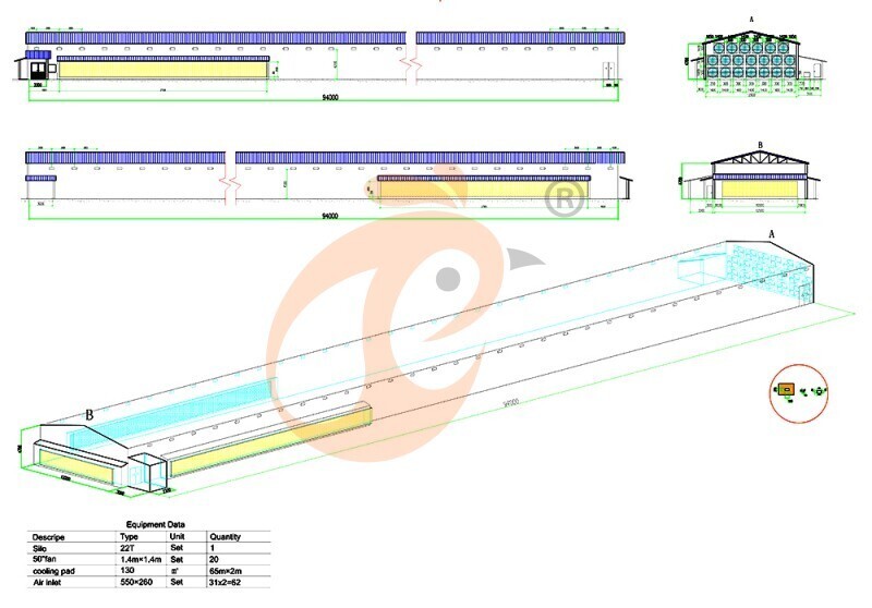 50000 layers chicken house, cage layout 800 (5).jpg