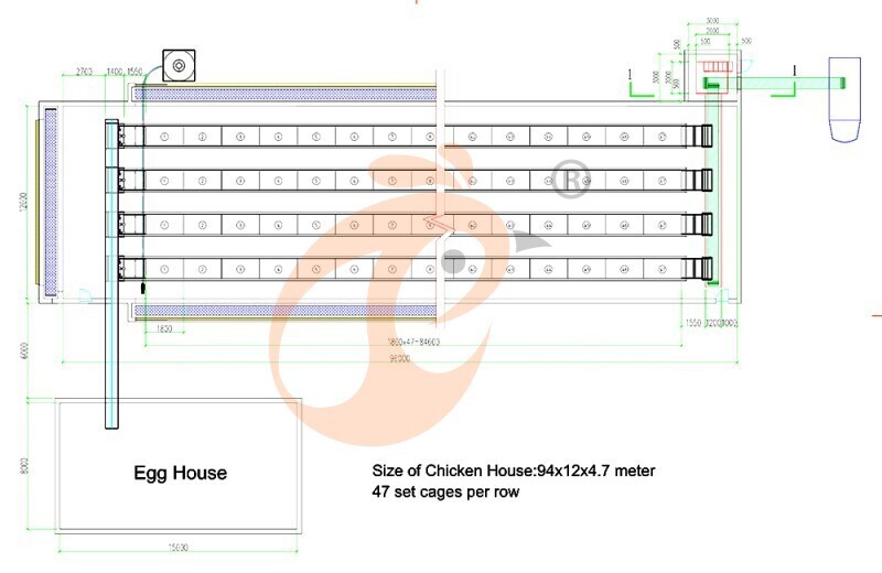 50000 layers chicken house, cage layout 800 (7).jpg