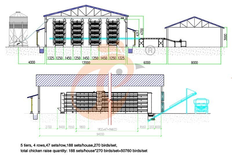 50000 layers chicken house, cage layout 800 (8).jpg