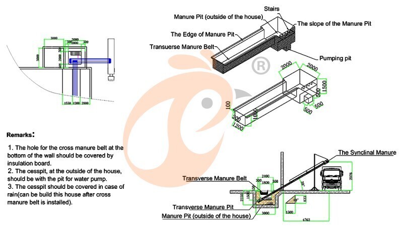 101520 layer, layer chicken cage layout (4).jpg