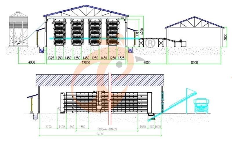 50000 layers chicken house, cage layout 800 (8).jpg