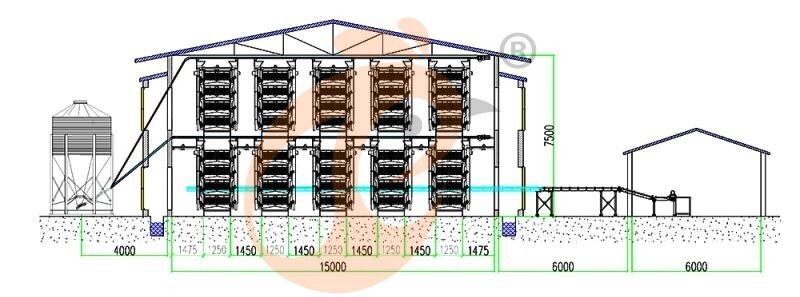 101520 layer, layer chicken cage layout (2).jpg