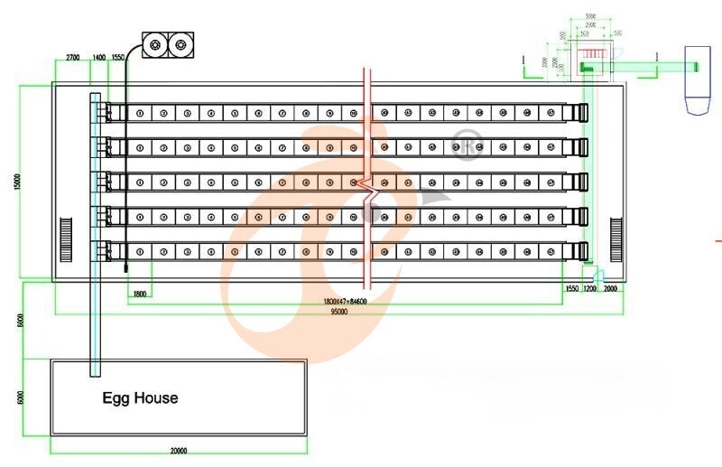 101520 layer, layer chicken cage layout (3).jpg