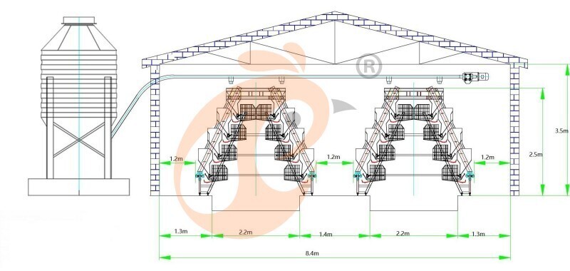 layer chicken cage (1).jpg