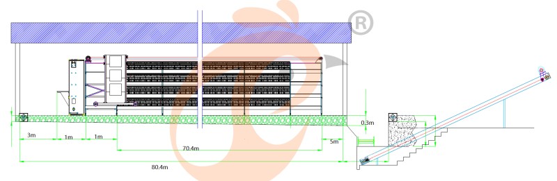 layer chicken cage (14).png