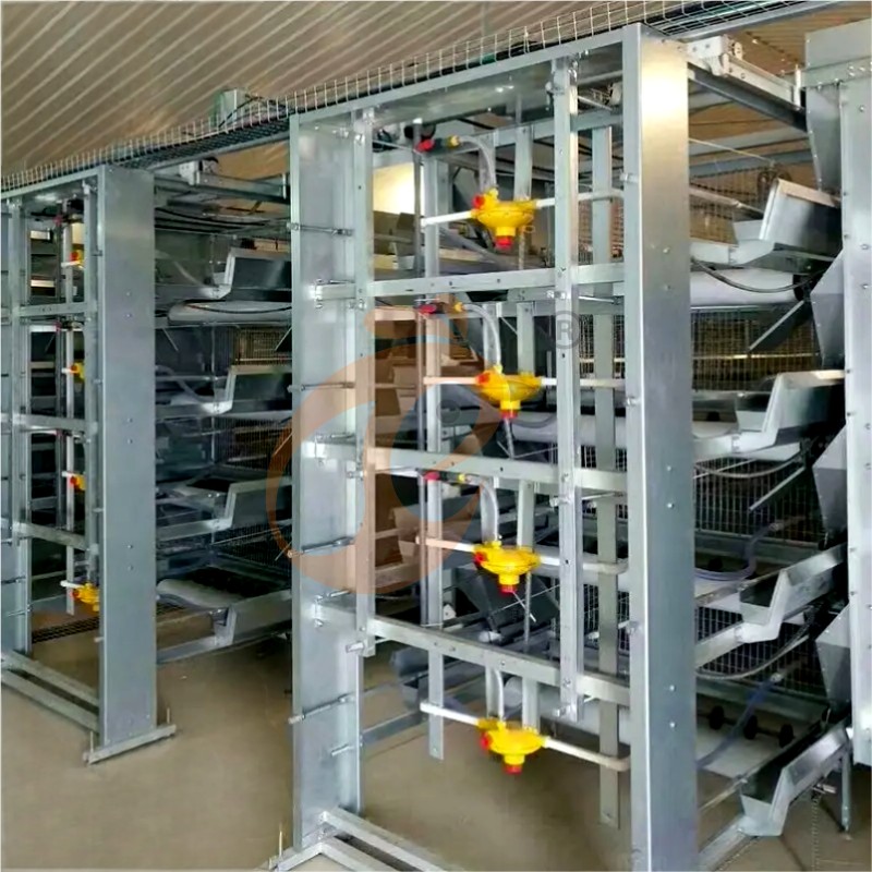 AI broiler chicken cage.png