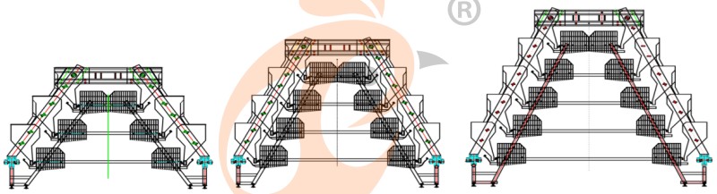 pullet chicken cage (6).png